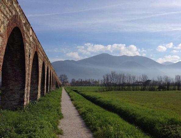 Villa Guelfi 卡希纳 外观 照片